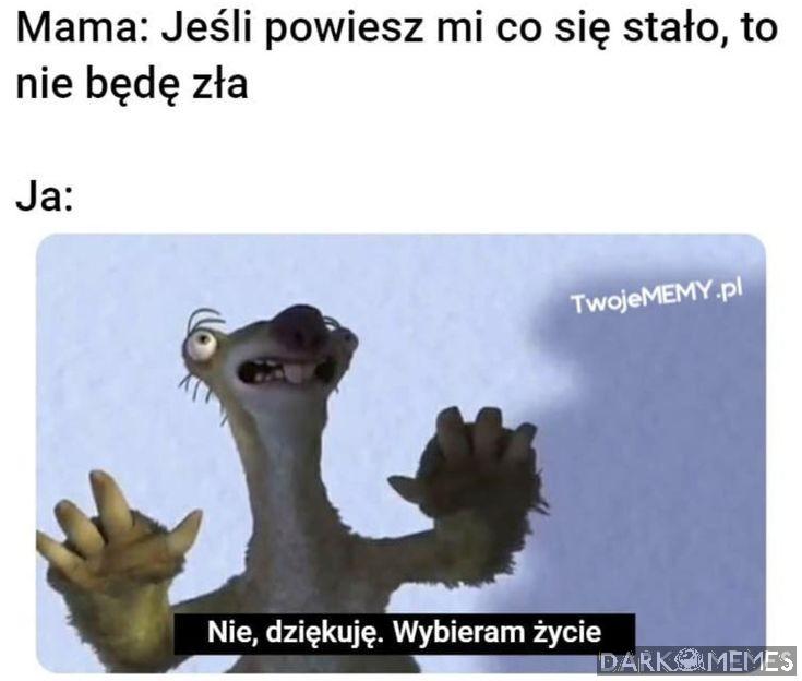 Znam te numery