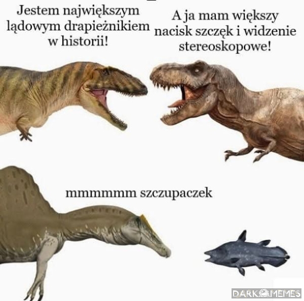 Nie mam pojęcia co tu napisać.