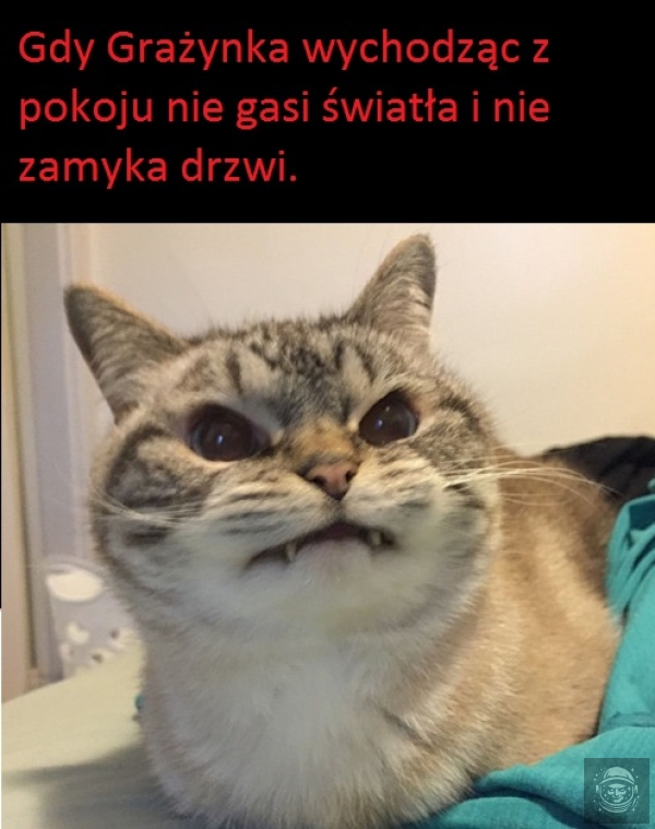 Mega irytujące 