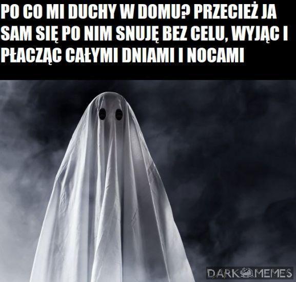 No po chuj?