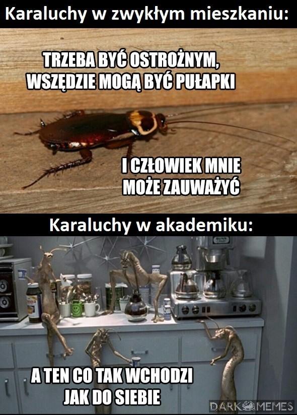 Skradanie