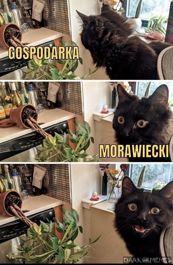 Trzyma się