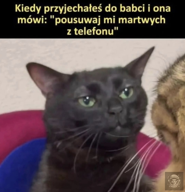 Selekcja naturalna