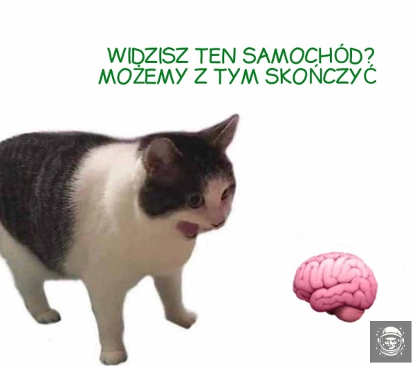 Myśli w głowie 