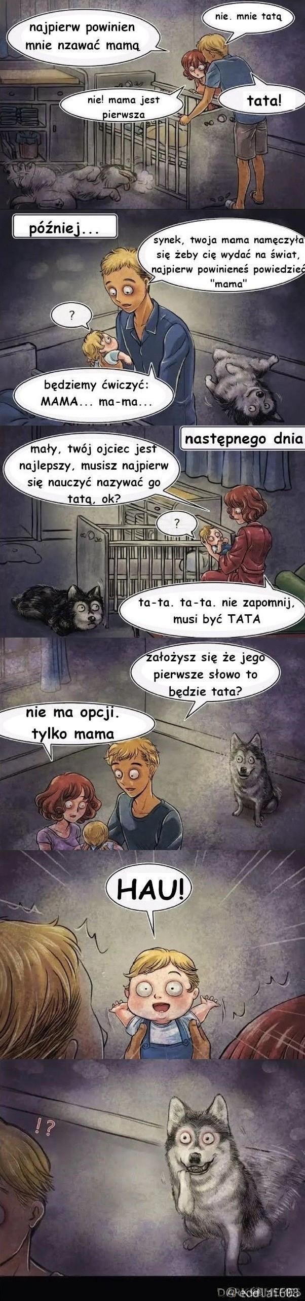Admin pewnej strony ze śmiesznymi obrazkami