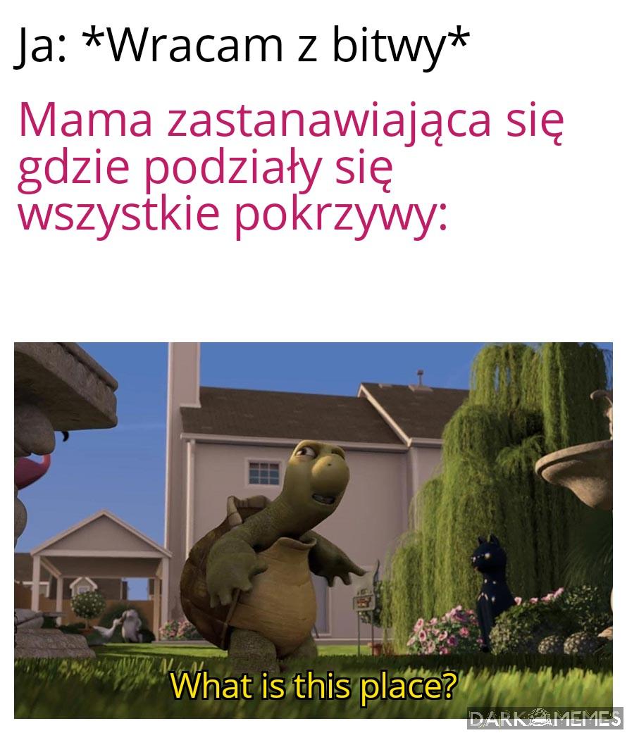 Co to za miejsce?
