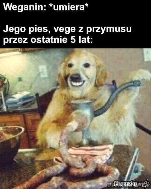 Jedzonko