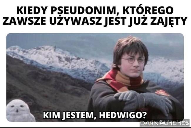 Identyfikacja