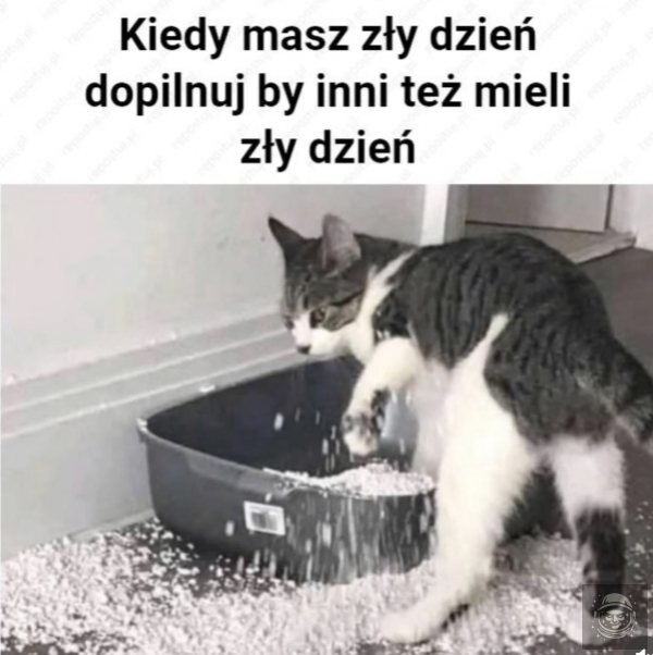 Zły dzień 