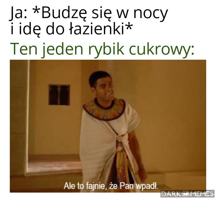 No witam