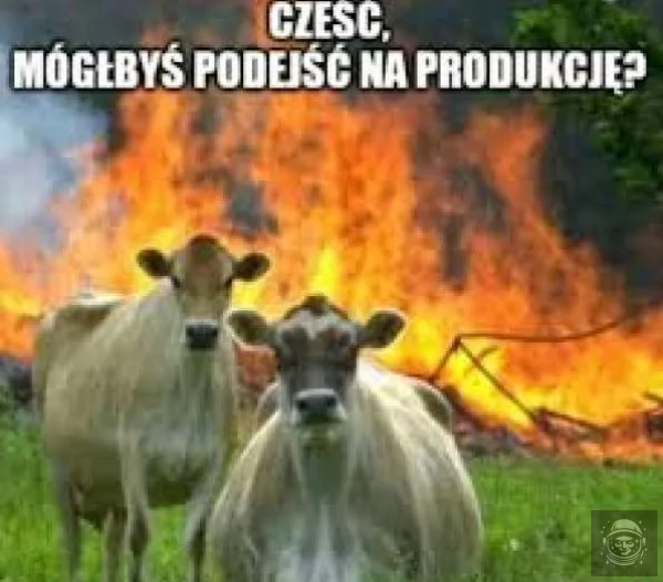 i już wiesz że będzie fajnie