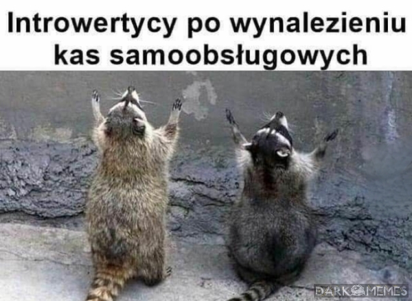 To się zgadza