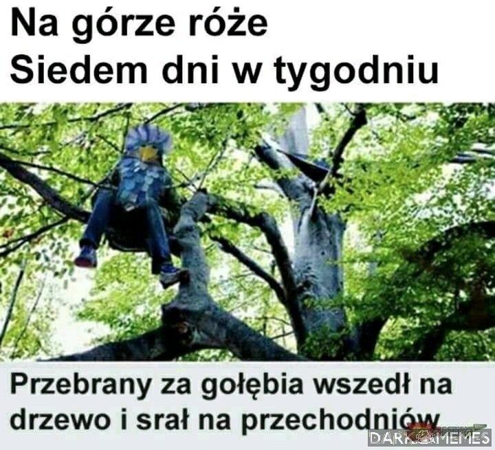 Kamuflaż