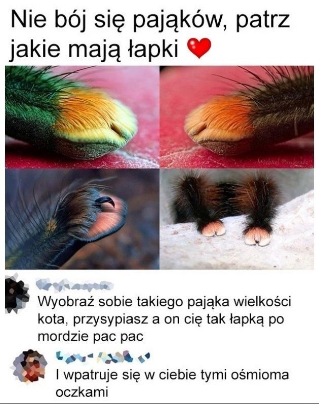 W Australii pewnie są