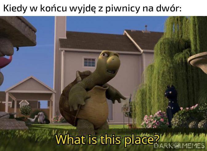 Spoko miejscówka