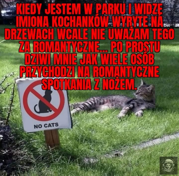 Na niewtajemniczonych robi to spore wrażenie 