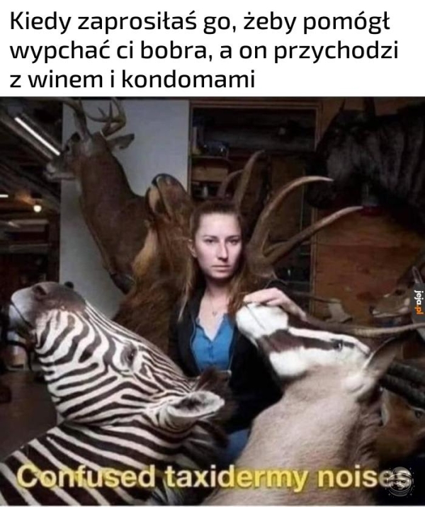 Hehe 