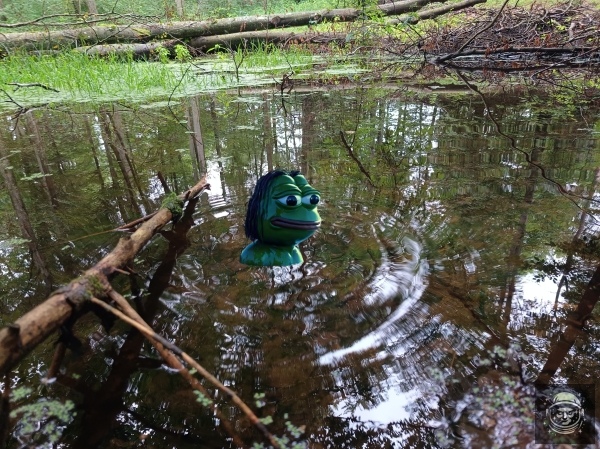 Leśne Pepe vol 1