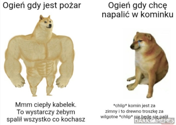 Ogień
