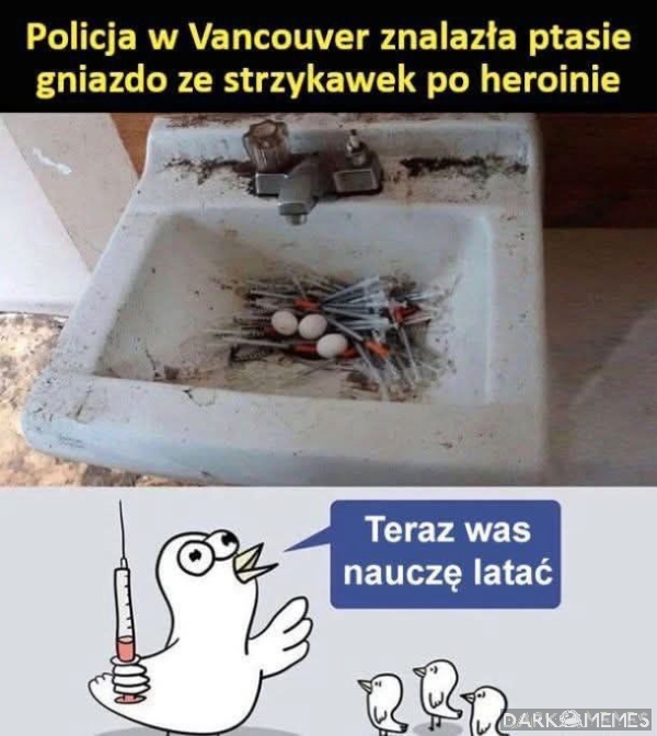 lot nad kukułczym gniazdem