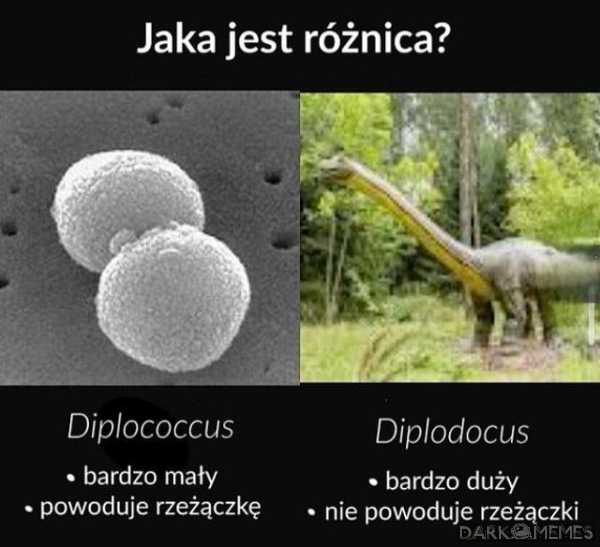 Różnica