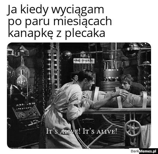 To żyje