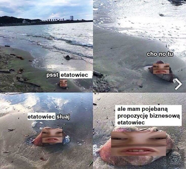 zainwestuj