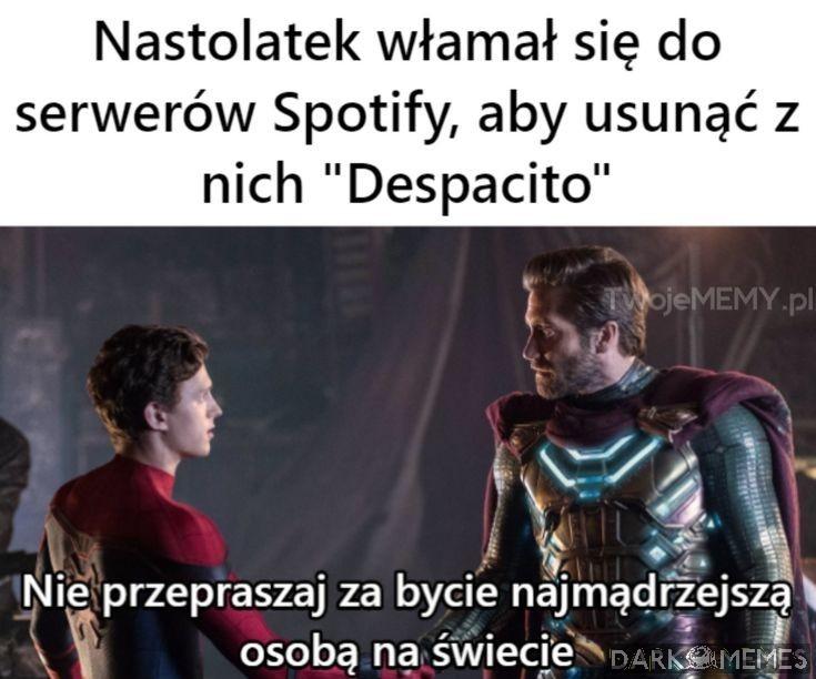Mędrzec