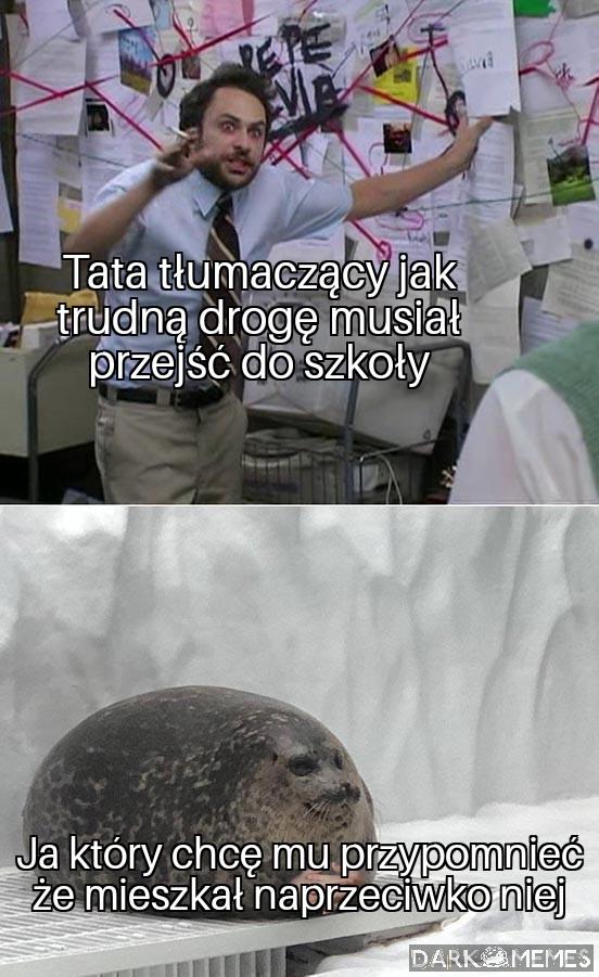 Wspinaczka górska