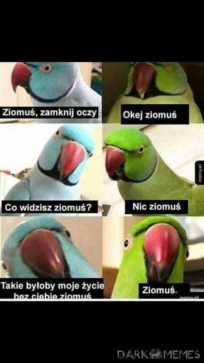 Kochanie moje