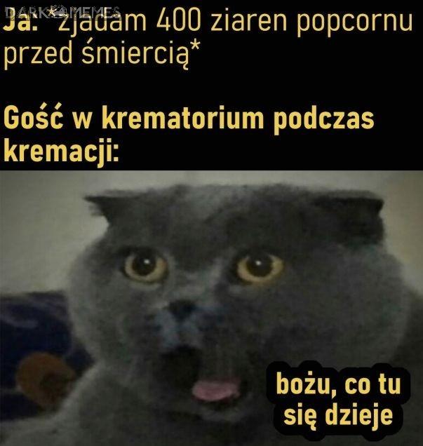 Popcorn