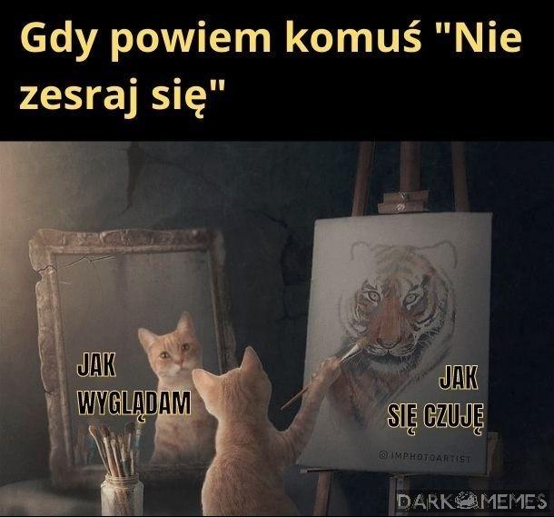 Albo się zesraj. Wolność mamy