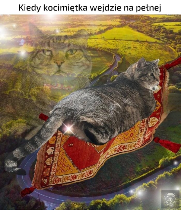 Miau