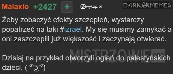 Państwo położone w Palestynie