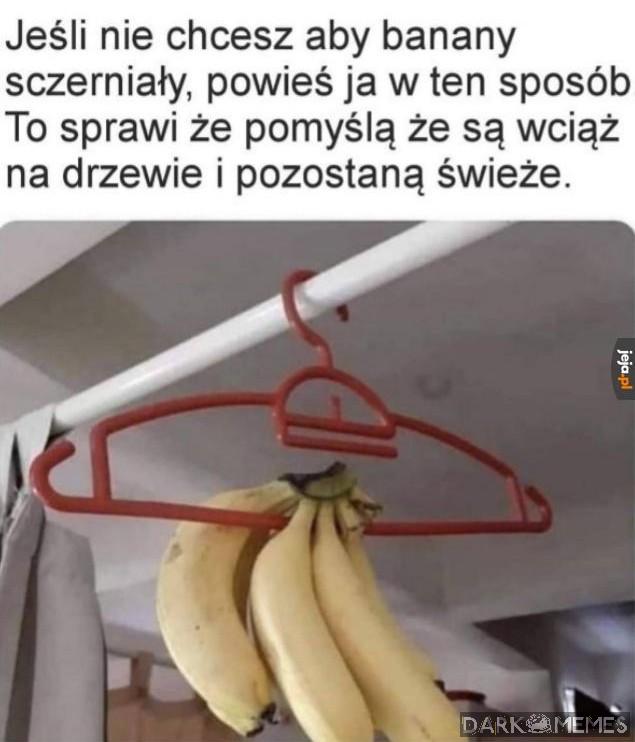 Można je przechytrzyć