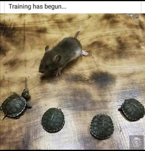 Training