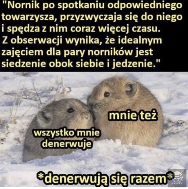 Razem 