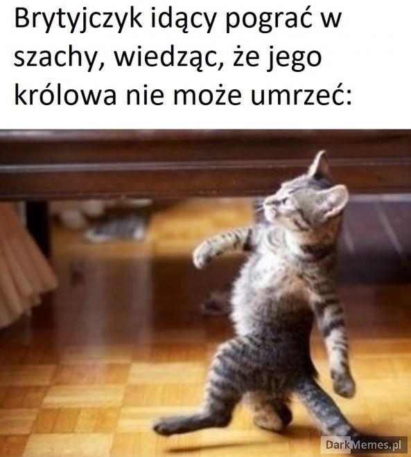 Wygrana w kieszeni