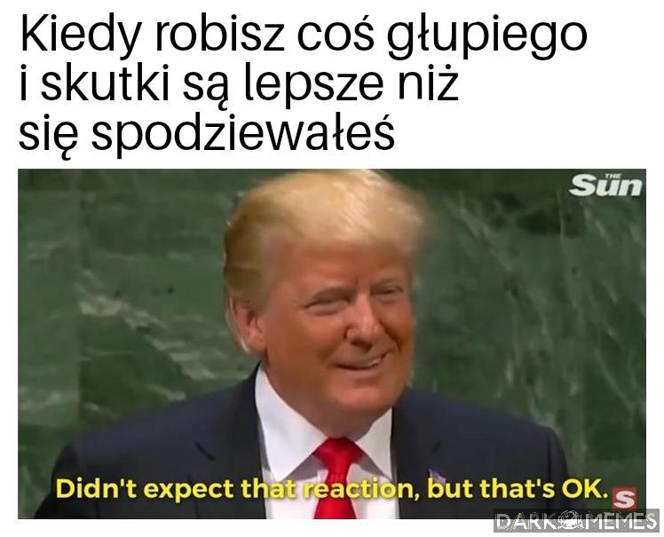 Mrówkojad