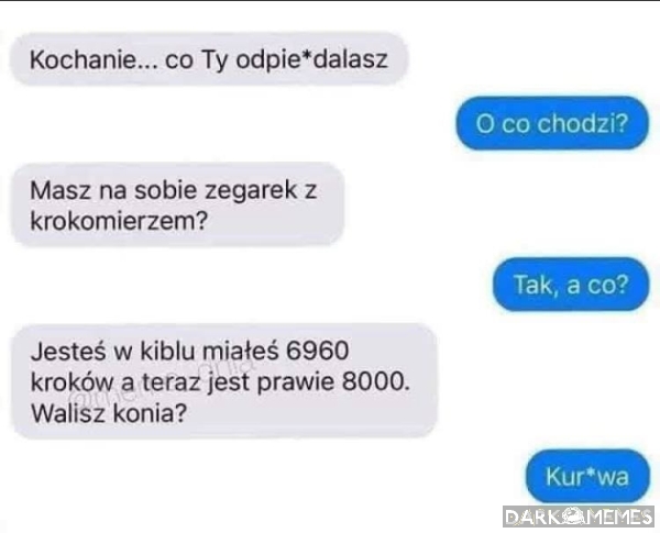 Koń z Valony