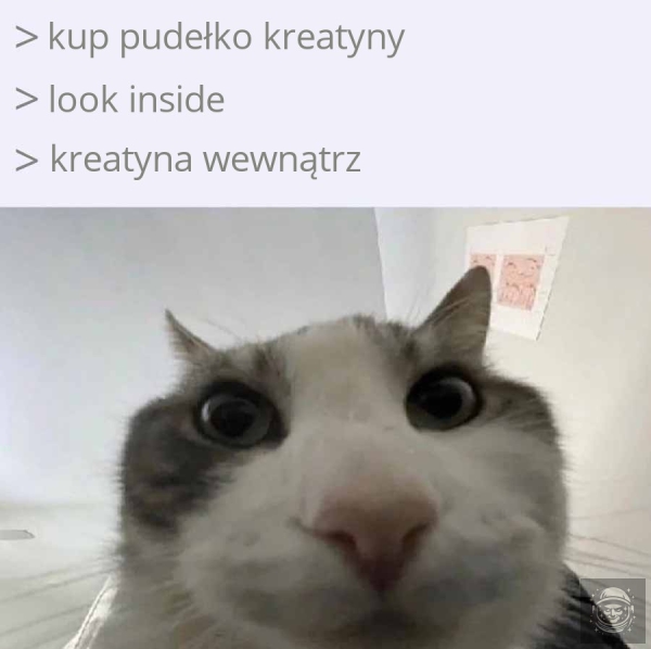 Tu sie memy da wrzucać! 
