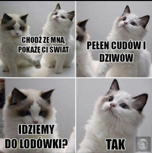 Lodówka