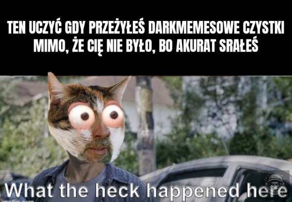 Darkmemes czyste, ale dupsko nie do końca