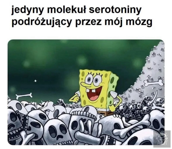 szczęście wy moje