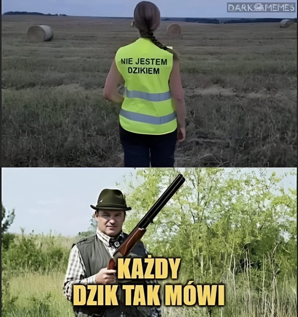 dzik