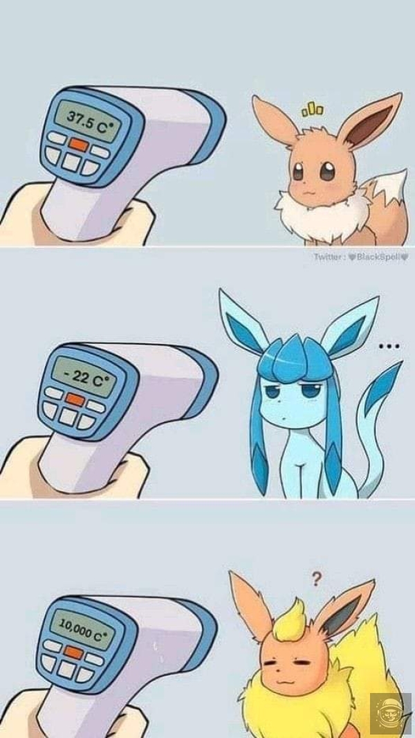 POKEMON 