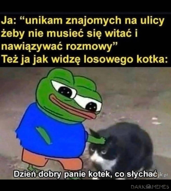 obce kotki