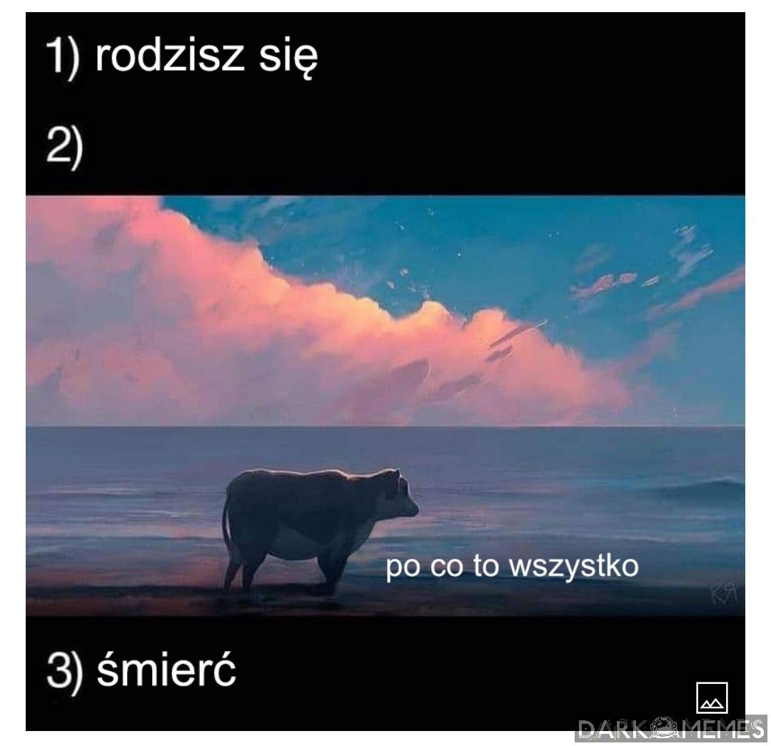 życie 